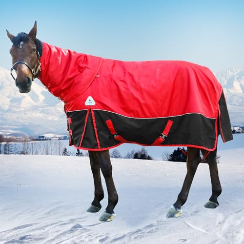 Surcingle Turnout Blankets for Horse,1680D Winter Water-Resistant HorseTrunout Sheets, 300g Warm Polyester Filling Liner, Medium Weight with Turnout Neck Cover Detachable (US 78 in/EU 145 cm) - size: US 78 in/EU 145 cm