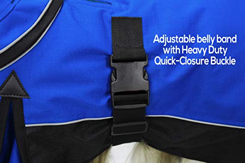 Derby Originals Safety Reflective 1200D Ripstop Waterproof Nylon Winter Dog Coat with Removable Neck Cover and Two Year Warranty - 220g Polyfil Insulation (17", Royal Blue/Black) - color: Electiric Blue/Black, size: 17"