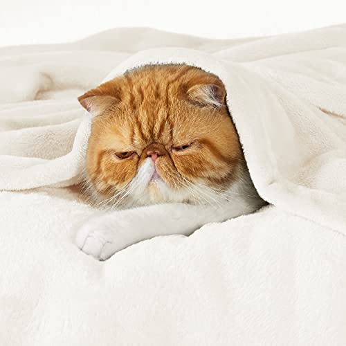 Bedsure GentleSoft Fleece Throw XL Blanket Cream - 300GSM Soft Lightweight Plush Cozy Blankets for Bed, Sofa, Couch, Travel, Camping, 50x70 inches - color: 01 - Cream, size: Throw XL (50" X 70")