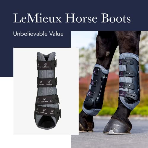 LeMieux Support Horse Boots - Protective Gear and Training Equipment - Equine Boots, Wraps & Accessories - size: Large