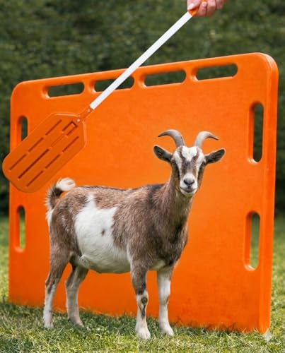 Pig Sorting Board w/Sorting Stick Paddle - Livestock Sorting Panel - Cattle Panel, Hog Panels, Mini Pig, Baby Goat Supplies - Show Pig Supplies Livestock - Farm Equipment - Large 47" x 30" x 2" - color: orange, size: Large