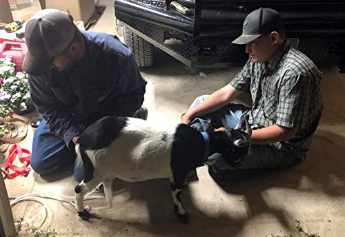 Milking Machine Accessory Goat Teat Cup Complete Set, φ20mm - size: Milk Cluster for Goat