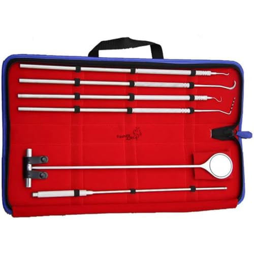 Equine Periodontal Instruments 6-Piece Kit–Stainless Steel Veterinary Dental Tools Set for Horses–Includes Explorers,Curettes,Probes & Mirror–Professional Oral Hygiene Instruments for Equine Dentistry