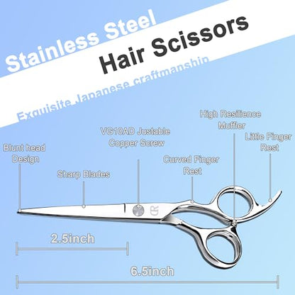 Hair Cutting Scissors Shears kit,Professional Edge Sharp Hair Scissors set,Barber Hairdressing Texturizing Thinning shears,Haircuting Styling Scissor kit Japanese 6.5 Inch (Silver)