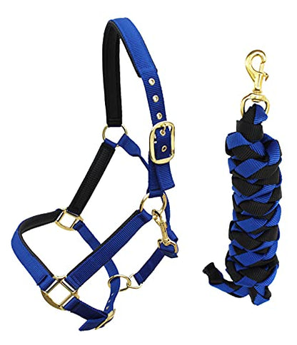 Nylon Horse Neoprene Padded Halter Brass Hardware Horse Tack Equine 606173 - color: Royal Blue