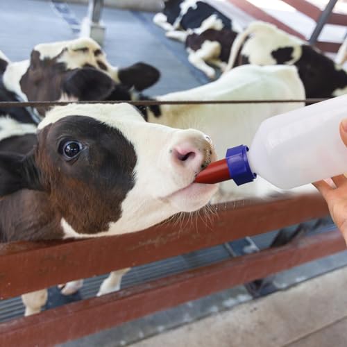2 Pack Calf Nursing Bottle 1000ml, Livestock Feeding Bottle for Orphaned - size: 1000ml