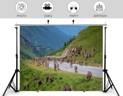 20x10ft Fabric Mountain Road Flock Sheep Backdrop Grey Mountain Highway Mass Wool Sheep Green Hillside Forest Background Tapestry Party Alpine Farm Home Wall Decorations Photo Booth Props - size: 20x10ft