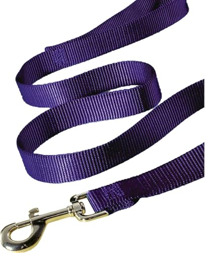 Hamilton 6 ft Nylon Dog Leash, Medium/Large 1" x 6', Purple - color: Purple, size: 1" x 6'