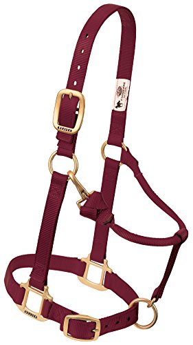 Weaver Leather Original Adjustable Nylon Horse Halter, Small Horse, Burgundy