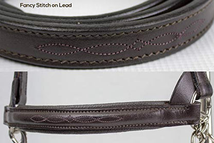 Derby Originals Premium Raised Padded Fancy Stitch Leather Cattle Show Halter with Matching Chain Lead - color: Black, size: Large (950lbs-1500lbs)
