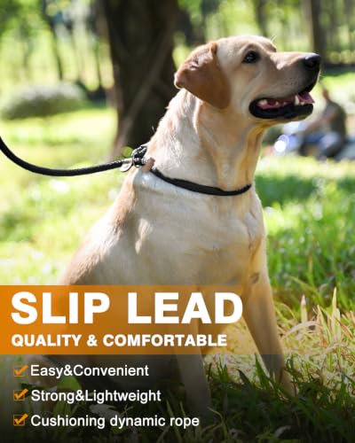 Dog Leash Slip Lead Braided Rope Pet Training Loop Leashes 5ft 6ft 8ft - color: Black
