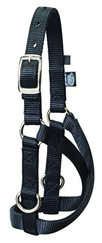Weaver Leather Livestock Sheep & Goat Treadmill Halter