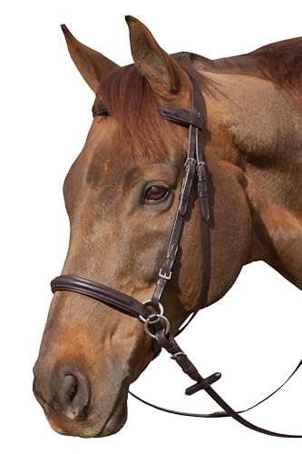 Equinavia Saga Leather Horse English Bridle, Stainless Steel Hardware Reins - color: Chocolate Brown, size: Warmblood