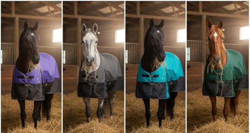 1200D Waterproof Medium Weight Poly (250g Fill) Horse Winter Turnout Blanket with Standard Neck AT010002TQ-63 - color: TURQUOISE, size: 63"