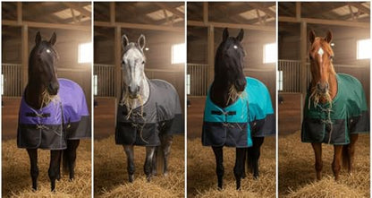 1200D Waterproof Medium Weight Poly (250g Fill) Horse Winter Turnout Blanket with Standard Neck AT010002TQ-66 - color: TURQUOISE, size: 66"