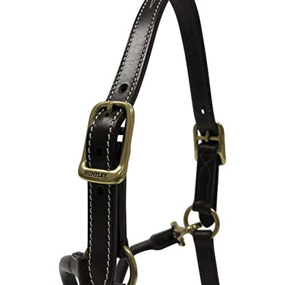 Huntley Equestrian Fancy Stitched Adjustable Premium Leather Pony Halter Elegant & Durable With Brass Hardware, Adjustable Crown Piece - Brown