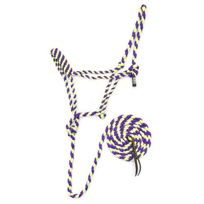 Jeffers Equine Braided Mule Tape Halter with 10' Detachable Lead Rope Set for Horses, 14 to 18 Hands - Stylish Design with Adjustable Poll Strap, Easy to Use Western Tack - Purple & Lime Green - color: Purple & Lime Green