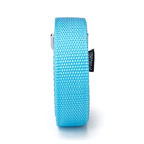 Strong Durable Nylon Dog Training Leash, 1 Inch Wide Traction Rope, 6 ft Long, for Small and Medium Dog (Mint Blue, 6 Feet) - color: Mint blue, size: 6 Feet