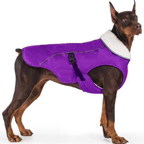EMUST Dog Winter Coat, Waterproof Fleece Dog Jacket Winter for Medium Dogs - color: Purple, size: Medium