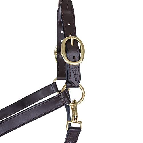 Schneiders Premier Leather and Rope Control Halter for Horses | Superior Horse Control | Enhanced with Rope Pressure Points | Double Ply Leather | Ideal for Young and Hot Horses - size: Full Size