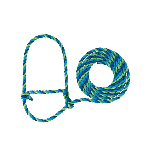 Weaver Leather Unisex Adult Livestock Rope Halter, Blue/Hurricane Blue/Lime, Cow US