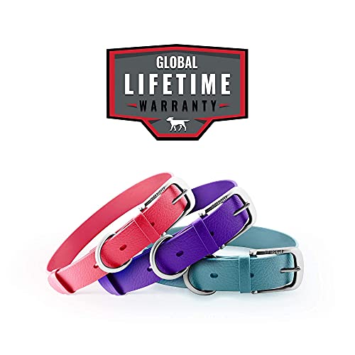 Tuff Pupper Heavy Duty Waterproof Dog Collar for Small, Medium & Large Dogs - color: Punch Pink