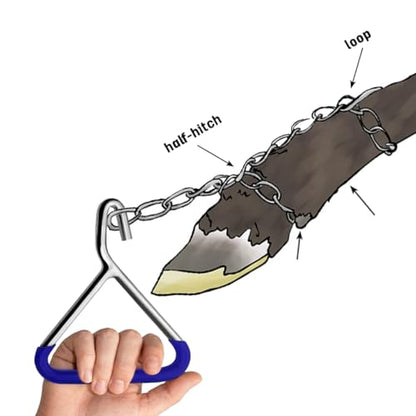 Durable OB Handle Apparatus 1 Blue Polyvinyl Chloride Handle Puller Hooks and 1 Chrome Plated Chain - Stainless Steel for Cow, Goat, and Cattle Delivery Instruments on Dairy Farms, 30 Inch