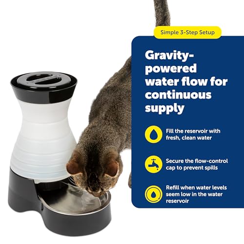 PetSafe Healthy Pet Water Station, 320 oz, Stainless Steel Bowl, Large | Gravity-Fed Pet Water Fountain Keeps Cats or Small Dogs Hydrated, Stainless Steel Bowl Is Dishwasher Safe - size: Large