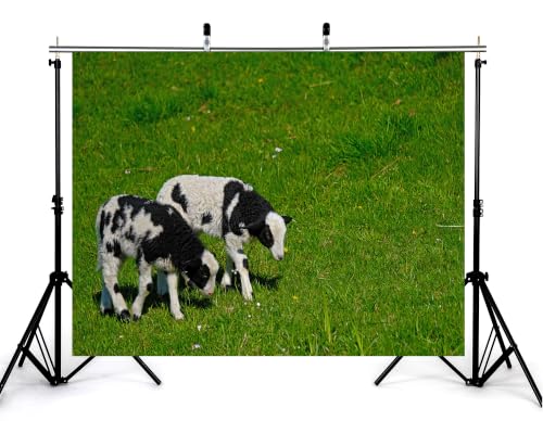 5x4ft Fabric Spotted Lamb Pair Backdrop Black White Wool Young Sheep Lush Bright Green Grass Meadow Photography Background Tapestry Party Farm Animal Decorations Photo Booth Props - size: 5x4ft