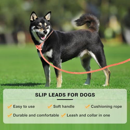 Lynxking Dog Leash Slip Lead Reflective Breathable Rope Comfortable Strong No Pull Slip On Pet Training Lead for Dogs (Pack of 2)