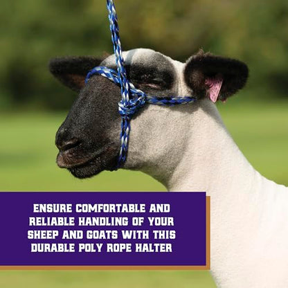 Weaver Livestock Poly Rope Sheep Halter, Modern Style Braid Sheep and Goat Rope Halter, Adjustable Lamb Halter Lead, Livestock Sheep Showing Supplies - color: Blue/Black/Gray