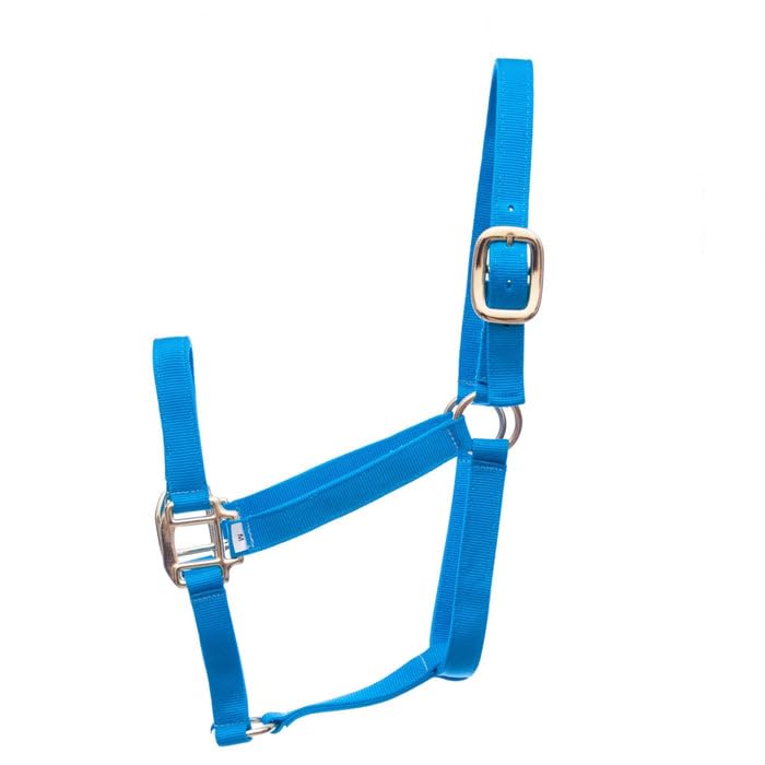 Jeffers Premium Nylon Yearling Horse Halters, 3 Ply, 1", Adjustable Equine Halter with Double Bar Buckle & Cast Hardware, Durable Nylon Horse Tack for Training, Grooming & Stable Use - Turquoise - color: Turquoise