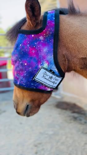 Star Point Horsemanship No Ear Fly Masks for Miniature Horse-Pony 100% Full UV Protection Durable Mesh Highly Comfortable (Average Horse Size 14-16 Hands)