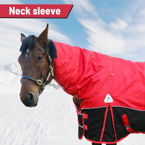Surcingle Turnout Blankets for Horse,1680D Winter Water-Resistant HorseTrunout Sheets, 300g Warm Polyester Filling Liner, Medium Weight with Turnout Neck Cover Detachable (US 78 in/EU 145 cm) - size: US 78 in/EU 145 cm