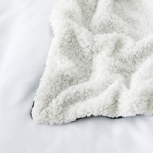 IR Imperial Rooms 2 Pack Queen Sherpa Blankets 90x90 Hotels Black - color: Black, size: Full/Queen (Pack of 2)