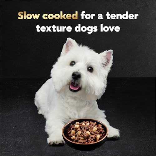 Cesar Loaf and Delights Wet Dog Food, Variety Lovers, 36 count, 2 pack - size: 3.5 Ounce (Pack of 72)