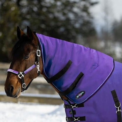 Horse Neck Warmer, 180g Insulated Waterproof, X-Large, Purple - color: Purple, size: X Large