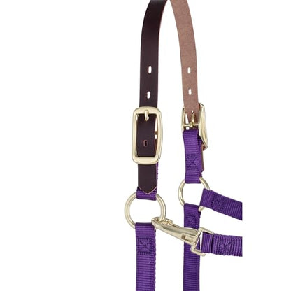 Weaver Leather Adjustable Breakaway Nylon Horse Halter, Purple, Weanling/Pony