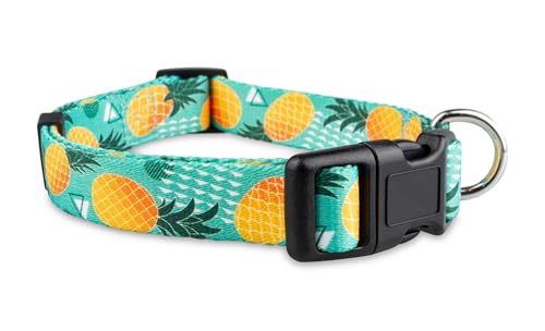 Limeloot Pineapple Dog Collar, Cute Adjustable Dog Collar for Boy and Girl Dogs, Small - color: Pineapple, size: Small