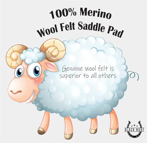 BLACK HOOF Steam Pressed Merino Wool Felt Contoured Pad - size: 3/4
