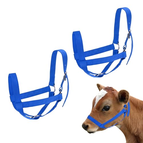 M METERXITY 2-Pack Adjustable Cattle Cow Calf Halter, 13.78"-17.7" Nylon Livestock Cow Halter for Miniature Horse/Donkey/Goat/Cattle [Blue]
