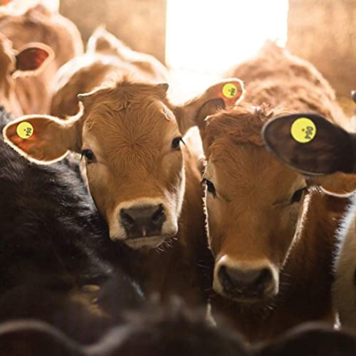 100pcs Livestock Ear Tags Numbered 001-100 TPU Animal Identification Tags