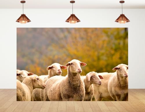 4x4ft Fabric Closeup Fluffy White Sheep Backdrop Group Wool Lamb Soft Blurred Autumn Bush Rural Farm Scene Photography Background Tapestry Party Country Farm Decorations Photo Booth Props - size: 4x4ft