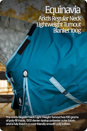 Equinavia Arktis Reg. Neck Lightweight Turnout Blanket 100g - Deep Green - 66 in - color: Deep Green, size: 66 in