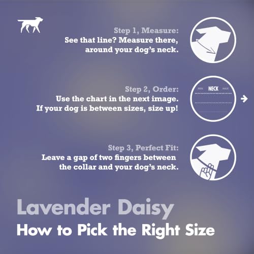 Tuff Pupper Premium Adjustable Dog Collar, Stylish Pattern Collars Designed in USA, Quick Release Buckle, Lavender Daisy Small (0.7 Inch Wide x 8-12 Inch Neck) - color: Lavender Daisy, size: Small
