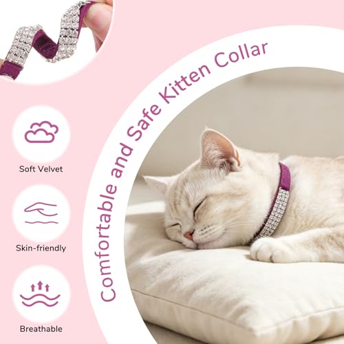 BINGPET Diamond Cat Collar with Bell,Adjustable Kitten Collar,Purple - color: Purple(Rhinestones), size: Neck Girth 8"-10"