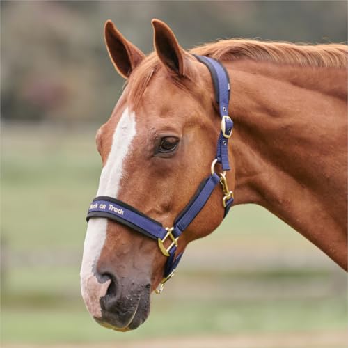 BACK ON TRACK Werano Full Halter - color: Blue, size: Full
