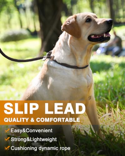Dog Leash Slip Lead Braided Rope Pet Training Loop Leashes 5ft 6ft 8ft - color: Brown