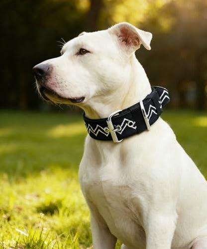 Dog Collar for Large Dogs,2 in Wide Heavy Duty,Pressure-Relief Padded, E-S - color: Charcoal Black, size: S