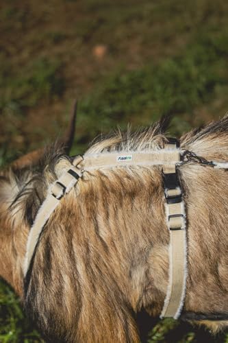 Asatre Goat Harness - Adjustable Livestock Harness – X-Large - size: X-Large